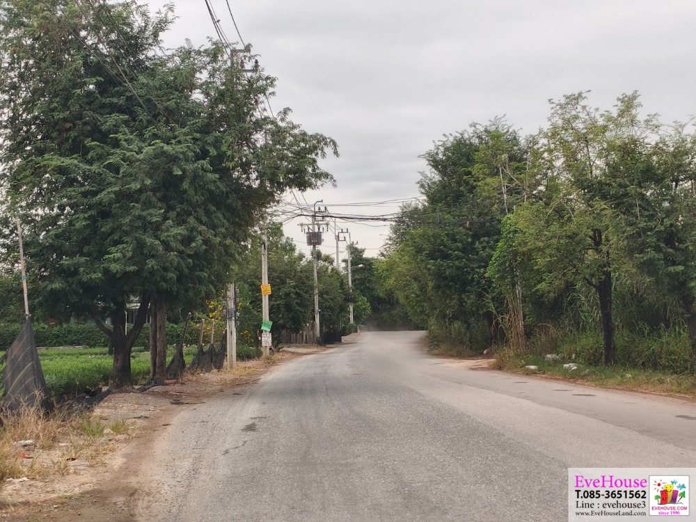 For SaleLandNonthaburi, Bang Yai, Bangbuathong : Land for sale 7.5 rai Near Wat Pa Mani Kanchan T. Bang Muang, A. Bang Yai, Nonthaburi