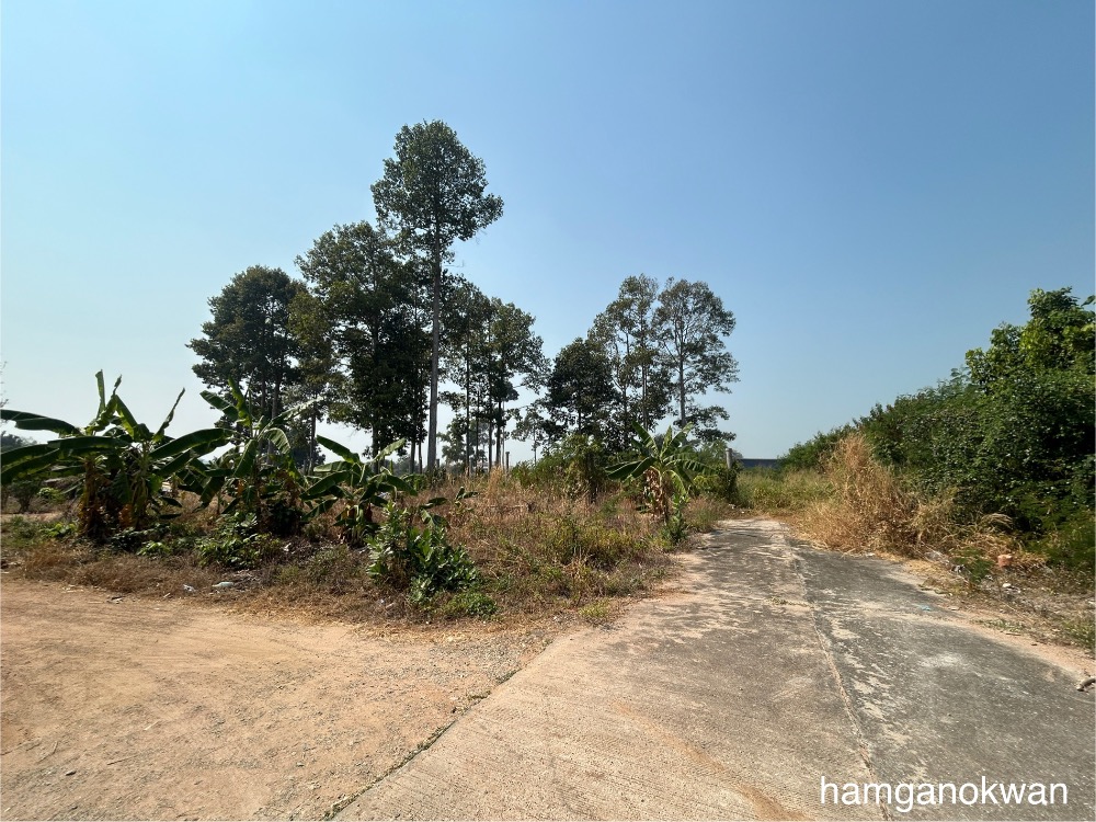 For SaleLandPattaya, Bangsaen, Chonburi : Land for sale in Bang Lamung, Pattaya, 3 rai 3 sq m.