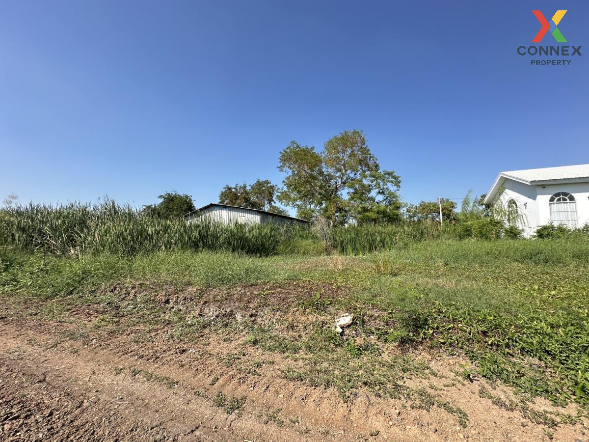 For SaleLandPathum Thani,Rangsit, Thammasat : For Sale Vacant land , Bang Khayaeng , Mueang Pathum Thani , Pathum Thani , CX-113803