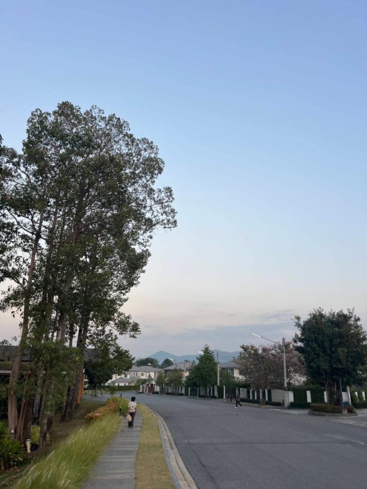 ขายบ้านพัทยา บางแสน ชลบุรี สัตหีบ : Life in the garden