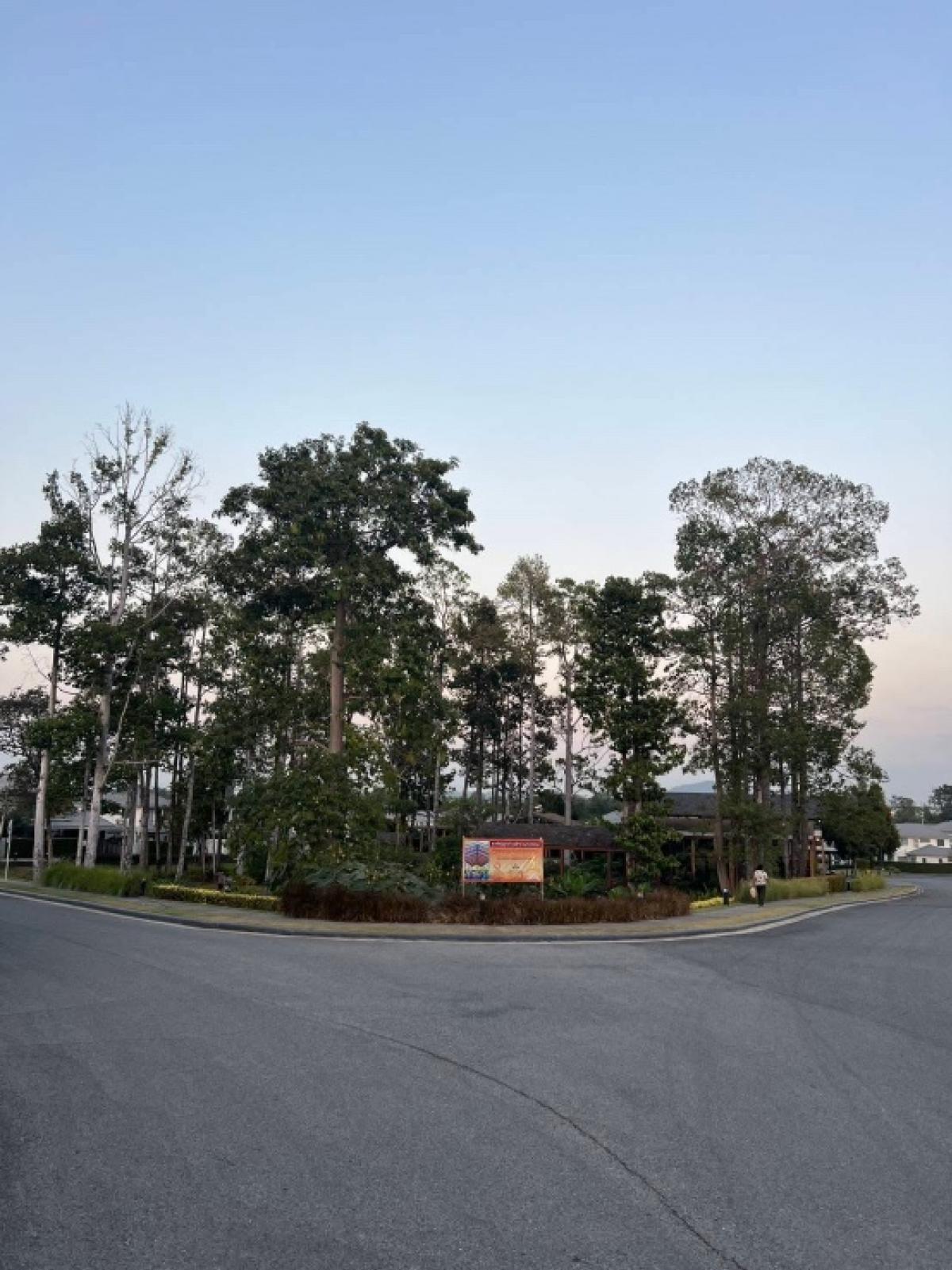 ขายบ้านพัทยา บางแสน ชลบุรี สัตหีบ : Life in the garden