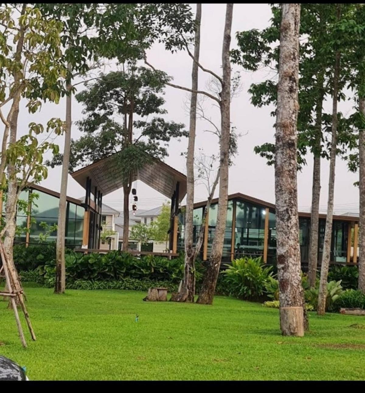 ขายบ้านพัทยา บางแสน ชลบุรี สัตหีบ : Life in the garden