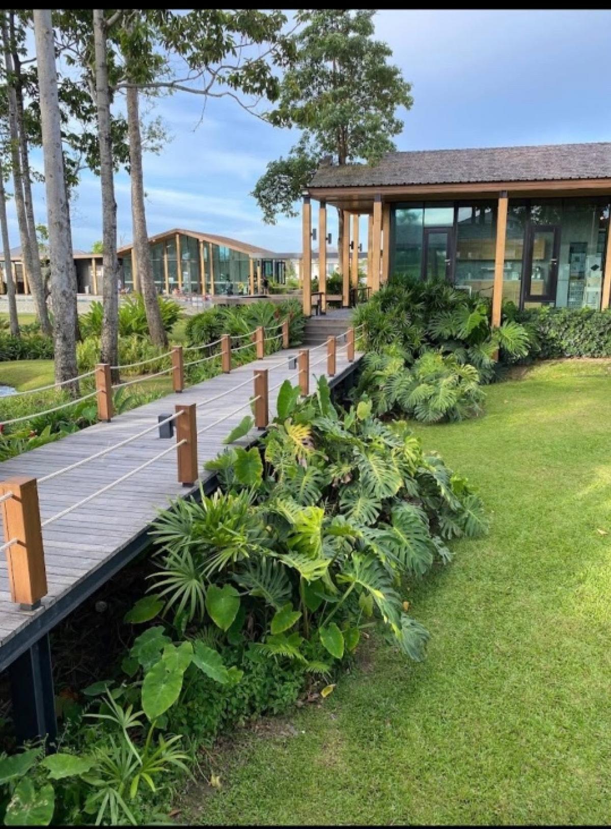 ขายบ้านพัทยา บางแสน ชลบุรี สัตหีบ : Life in the garden