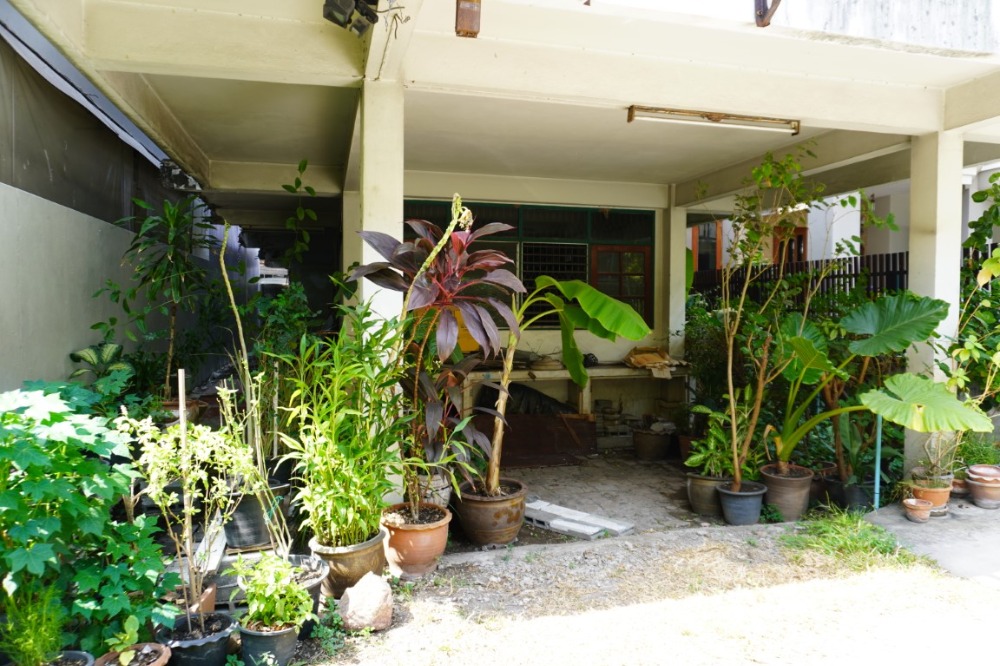 For SaleHouseSiam Paragon ,Chulalongkorn,Samyan : For Sale: 3-Story Detached House in Rama 1, Pathumwan, Near BTS Nation