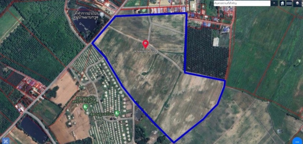 For SaleLandPattaya, Bangsaen, Chonburi : Land Ban Bueng Chonburi / (SALE) COF639