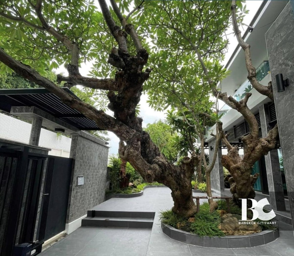 For SaleHouseKaset Nawamin,Ladplakao : Hot deal ! For Sale Ladawan Kaset-Nawamin Big house, beautiful garden, price includes all expenses.