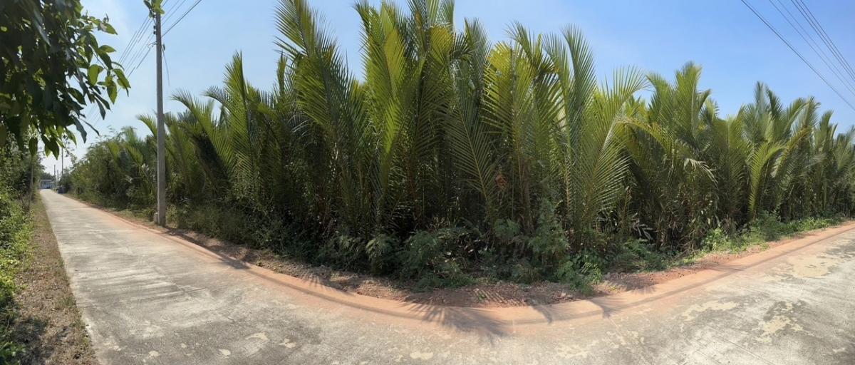 For SaleLandMahachai Samut Sakhon : Land for sale with utilities, Bang Krachao Subdistrict, Samut Sakhon