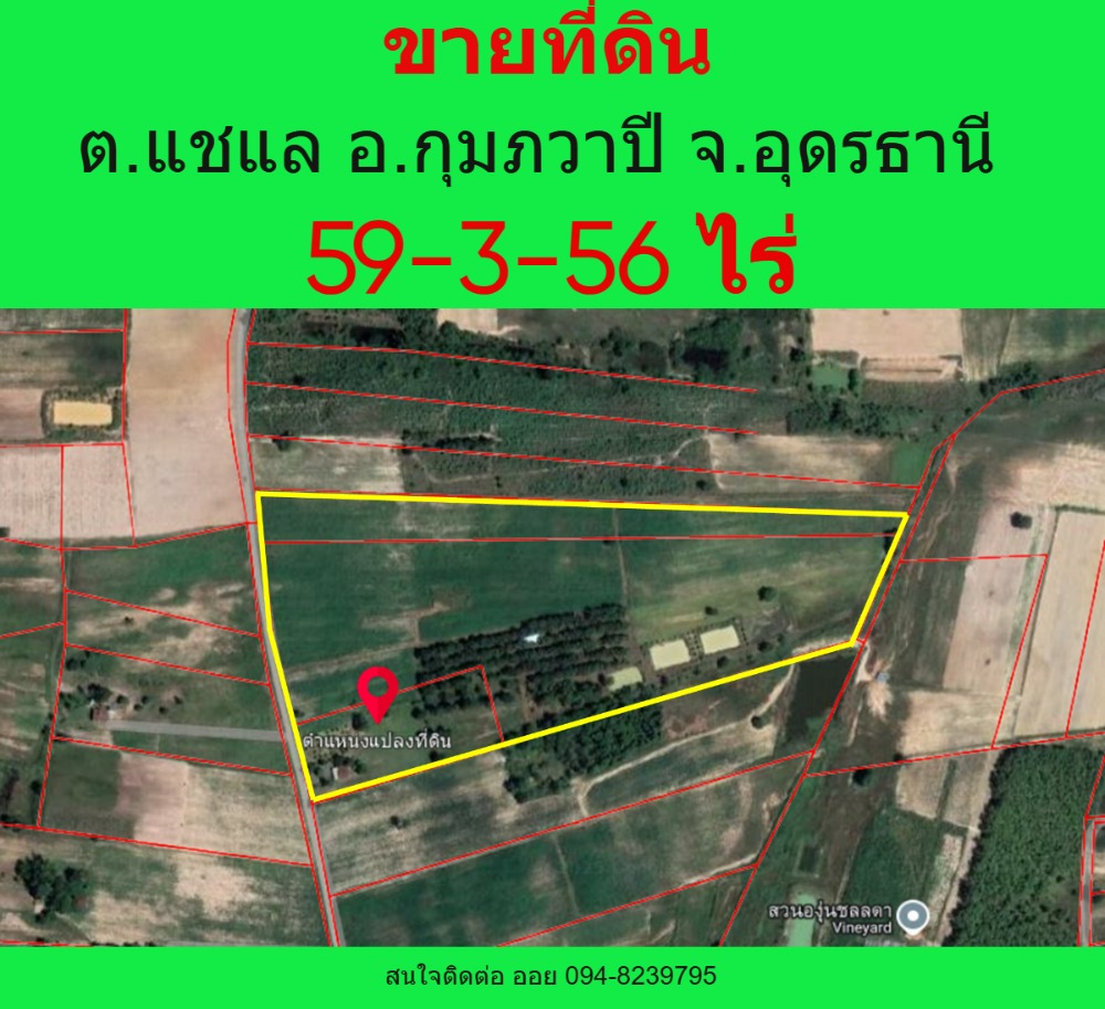 For SaleLandUdon Thani : Beautiful land plot for sale, 59-3-56 rai, Cha Lae Subdistrict, Kumphawapi District, Udon Thani Province (250,000 baht/rai)