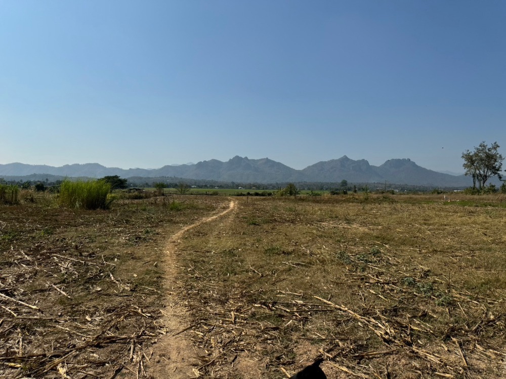 For SaleLandLampang : Large plot of land for sale near tourist attractions in Lampang Province