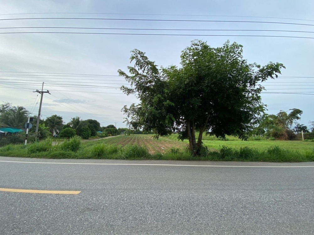 For SaleLandPattaya, Bangsaen, Chonburi : Land Tambon Nong Irun Amphoe Ban Bueng / (SALE) AA180