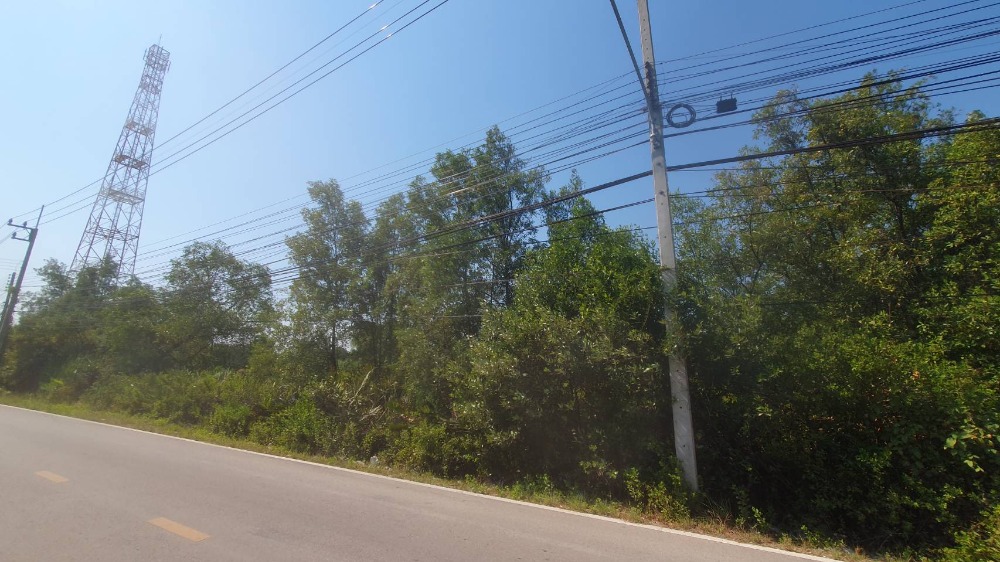 For SaleLandMahachai Samut Sakhon : For sale: vacant land, Ban Bo Subdistrict, Mueang District, Samut Sakhon Province, good location, on the main road