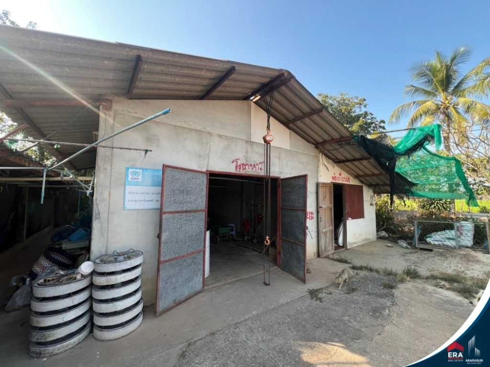 For SaleLandSukhothai : Land for sale with 7 rai pig farm, Sukhothai Province