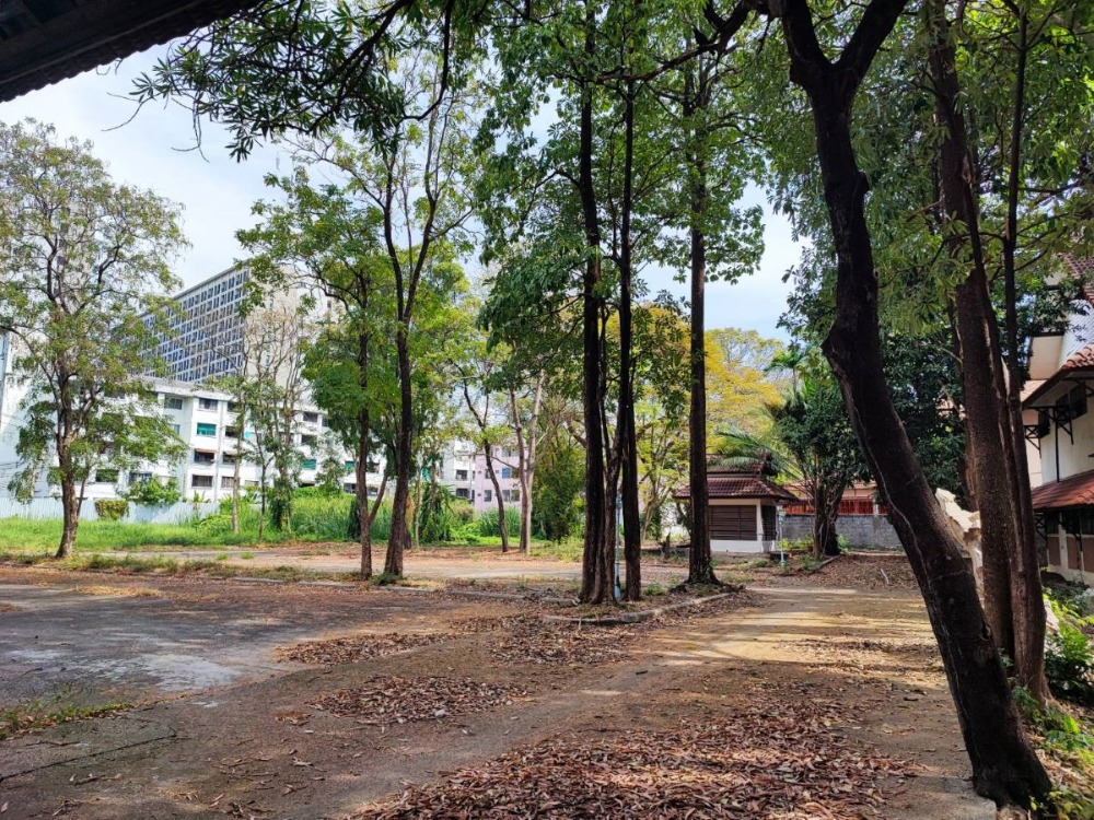 For RentLandVipawadee, Don Mueang, Lak Si : Land and old food garden building Very good atmosphere