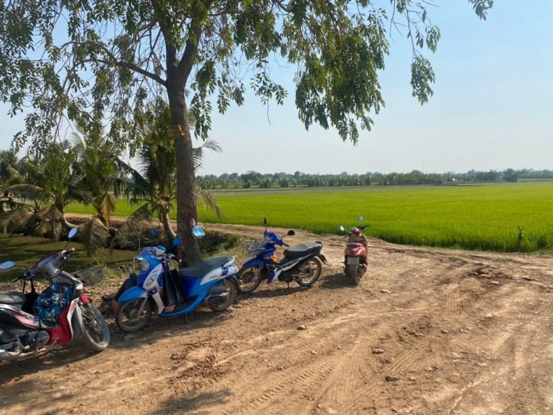 ขายที่ดินนนทบุรี บางใหญ่ บางบัวทอง : (UA002) ขาย ที่นาเนื้อที่ 8 ไร่ มีทางเข้า-ออก เขตถนนกว้าง 8 เมตร (ใกล้เซ็นทรัลเวสเกต)