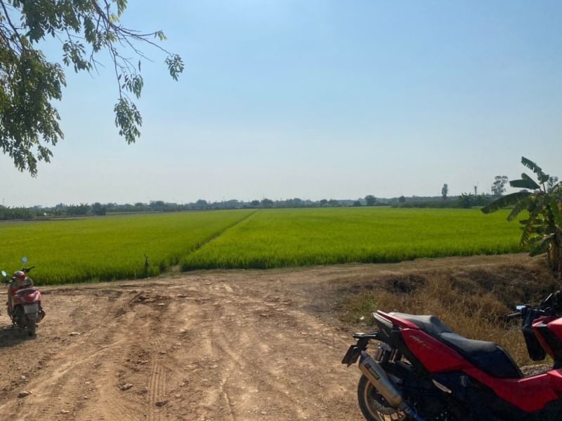 ขายที่ดินนนทบุรี บางใหญ่ บางบัวทอง : (UA002) ขาย ที่นาเนื้อที่ 8 ไร่ มีทางเข้า-ออก เขตถนนกว้าง 8 เมตร (ใกล้เซ็นทรัลเวสเกต)