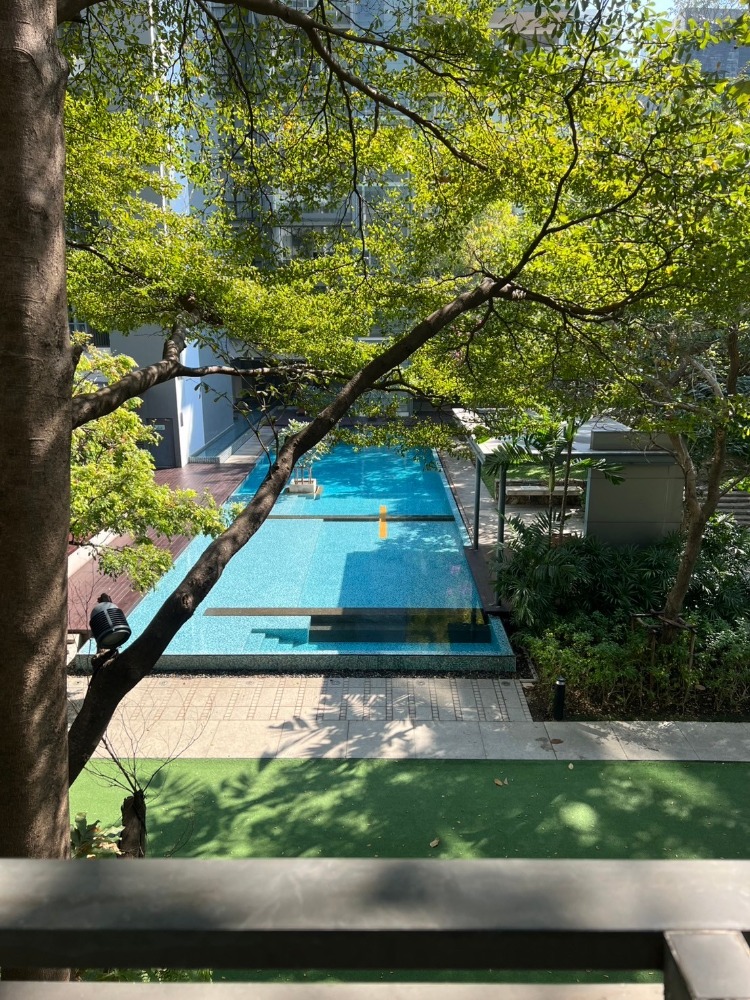 ขายคอนโดสุขุมวิท อโศก ทองหล่อ : Foreigner Quota ขาย 2 ห้องนอน ขนาดใหญ่ 100 กว่าตรม ใจกลางอโศก ใกล้ BTS ที่ Domus 16 #MN25010012