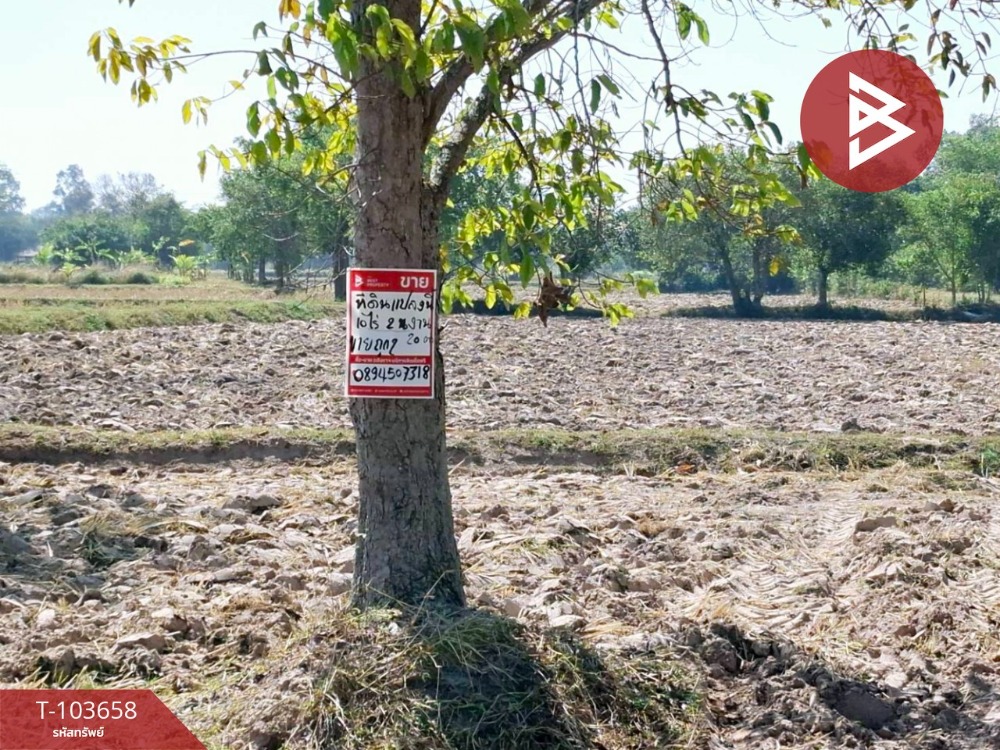 For SaleLandRoi Et : Land for sale, area 10 rai 2 ngan 3 square wa, clean and complete, Roi Et