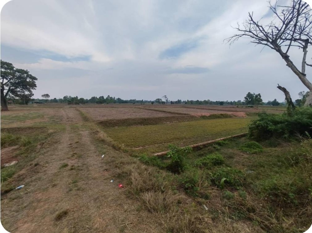 For SaleLandKhon Kaen : The owner of the post sells land in Ban Non Subdistrict, Chamsung District, Khon Kaen Province. Selling for only 1,490,000 baht. Agents welcome.