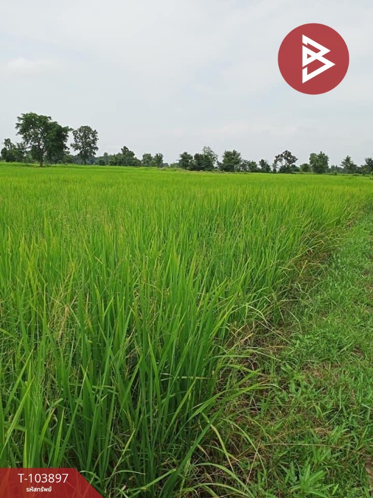 For SaleLandMaha Sarakham : Land for sale, area 8 rai 1 ngan 74 sq m, Na Chueak, Maha Sarakham