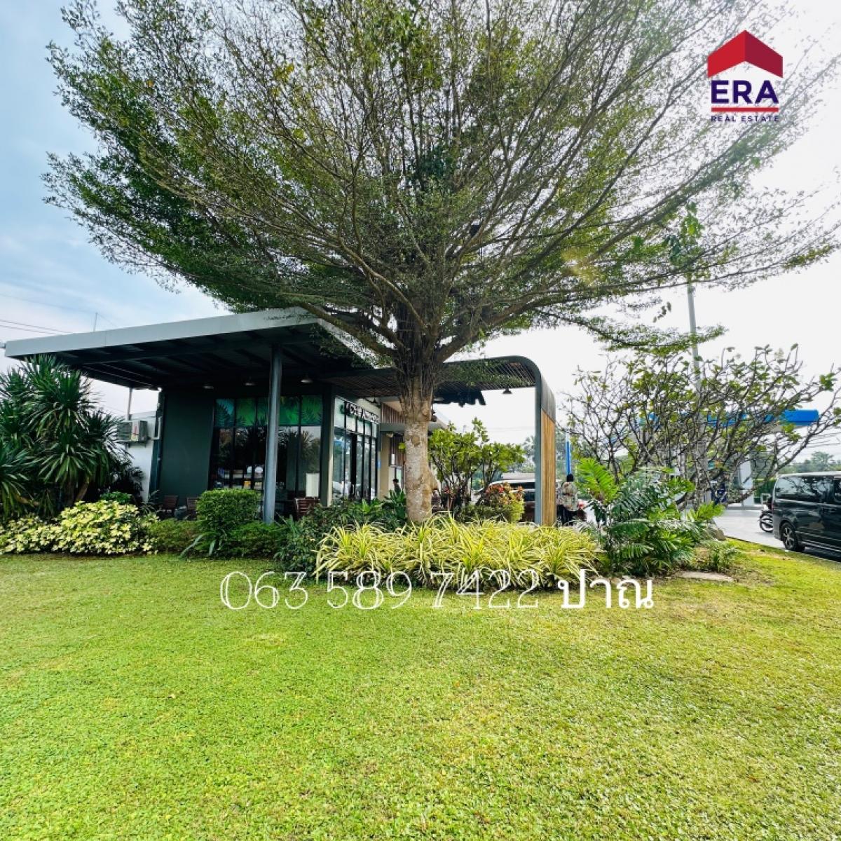 ขายที่ดินหัวหิน ประจวบคีรีขันธ์ : ขายยกกิจการ ปั้มน้ำมัน ปตท. ขนาดพื้นที่ 1-2-48 ไร่ ถนนทางหลวง 3168 ต.ปราณบุรี อ.ปราณบุรี จ.ประจวบคีรีขันธ์