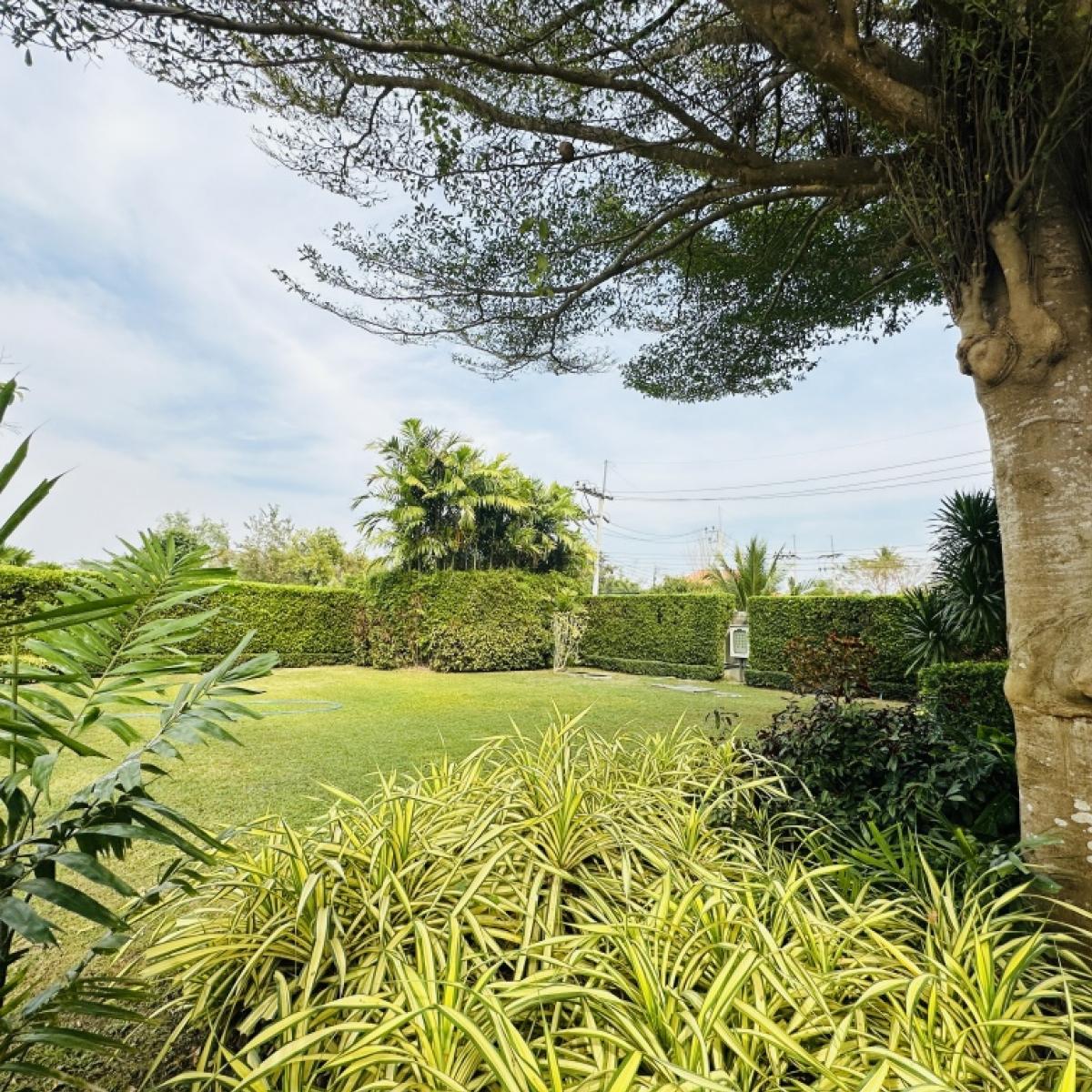 ขายที่ดินหัวหิน ประจวบคีรีขันธ์ : ขายยกกิจการ ปั้มน้ำมัน ปตท. ขนาดพื้นที่ 1-2-48 ไร่ ถนนทางหลวง 3168 ต.ปราณบุรี อ.ปราณบุรี จ.ประจวบคีรีขันธ์