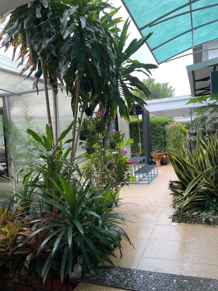 For SaleHouseBangna, Bearing, Lasalle : Single house, ready to move in, Soi Ratchawinit Bangkaew, Manthana 1, Bangna, Km.7