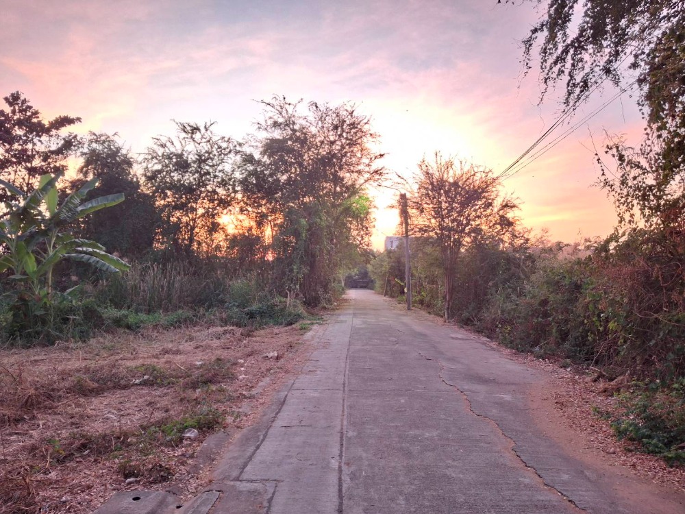 For SaleLandBang kae, Phetkasem : Land for sale, 140 sq.w., Phetkasem 77, land facing north, Sawatdikarn 3, Soi 10, enter the alley for approximately 42 meters, land is on the left, width 28 meters, depth 19 meters, near Lertlah School, Asia University, Vichaiyut Hospital, Nong Khaem 0961