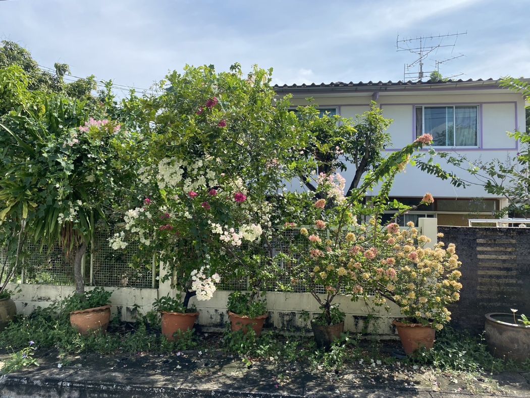 ขายบ้านอ่อนนุช อุดมสุข : ขาย บ้านเดี่ยว บ้าน 1 งาน 1111 หมู่บ้านมิตรภาพ ล็อค 4 ตรงวงเวียน ซอยอ่อนนุช 46 ถนนสุขุมวิท 77