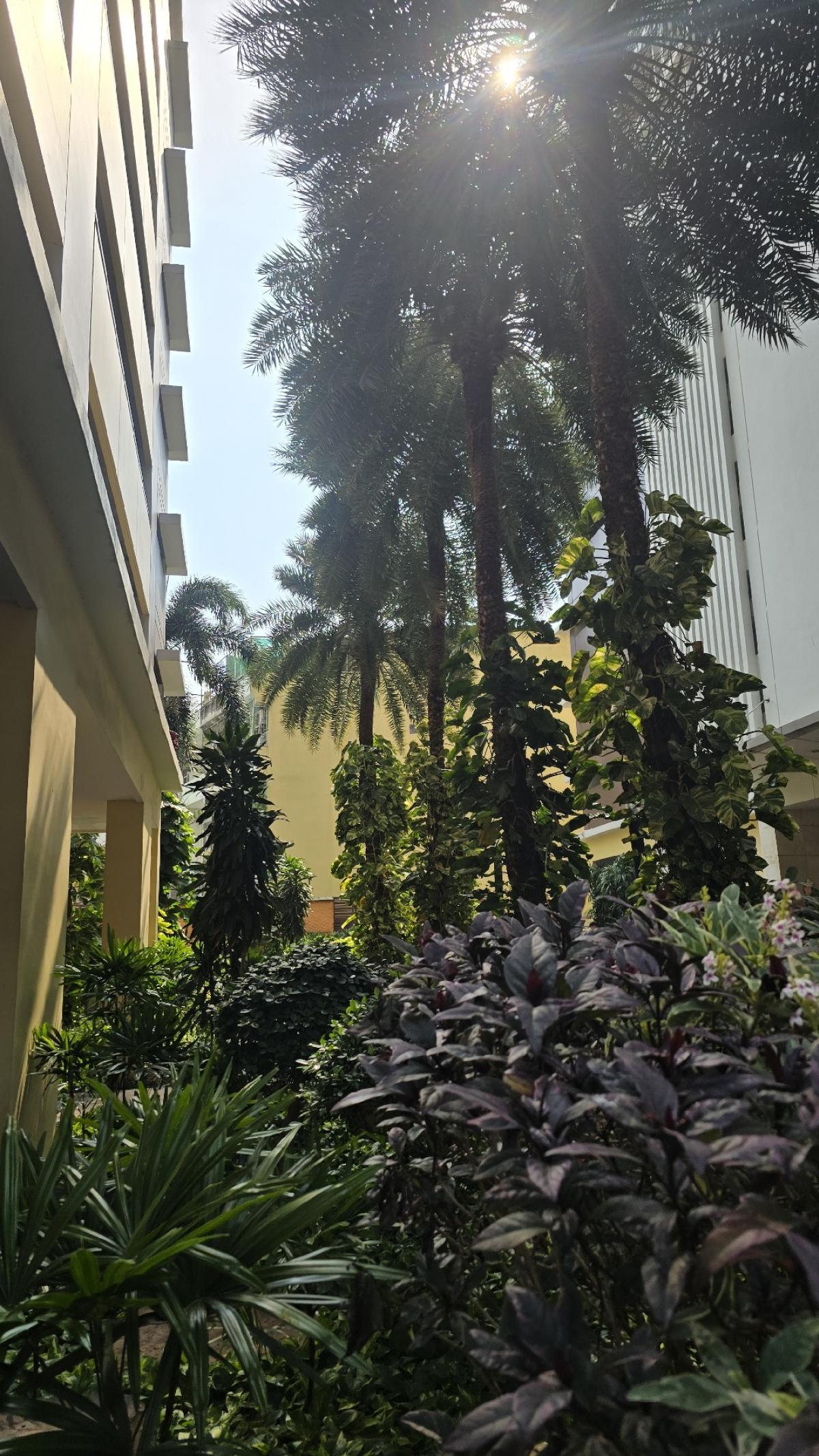 ให้เช่าคอนโดราชเทวี พญาไท : 🔥ให้เช่าด่วน🔥เดอะ คอมพลีท ราชปรารภ เดินทางสะดวก ใกล้ BTS อนุสาวรีย์ชัย 500 ม. / ใกล้ Airport Link 600 ม. 