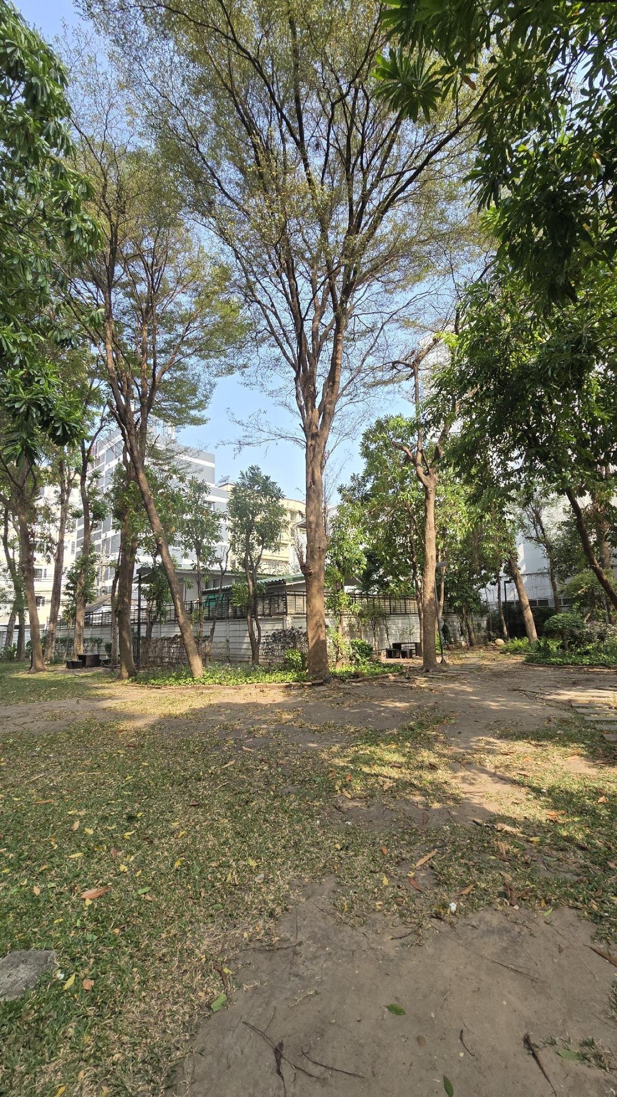 ให้เช่าคอนโดราชเทวี พญาไท : 🔥ให้เช่าด่วน🔥เดอะ คอมพลีท ราชปรารภ เดินทางสะดวก ใกล้ BTS อนุสาวรีย์ชัย 500 ม. / ใกล้ Airport Link 600 ม. 