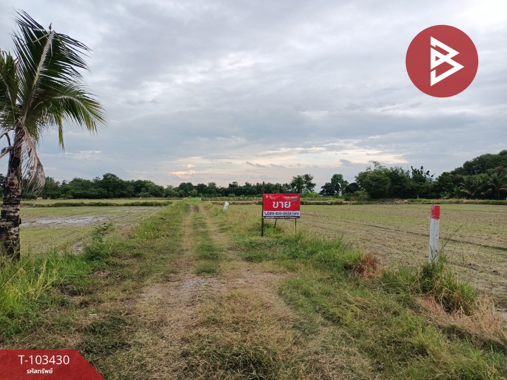 For SaleLandSaraburi : Land for sale, divided into lots, total of 5 plots, Huai Pawa Subdistrict, Saraburi Province