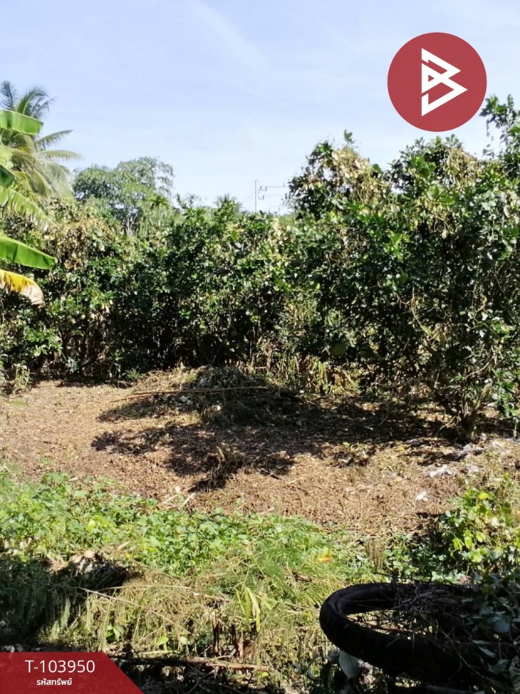 For SaleLandMahachai Samut Sakhon : Land for sale, area 1 rai 2 ngan, Amphawa, Samut Songkhram
