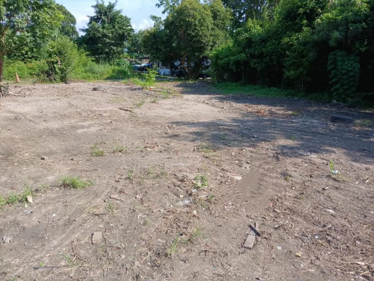 For SaleLandPattaya, Bangsaen, Chonburi : Land for sale, 150 sq m, Nong Ri, near Chonburi city.