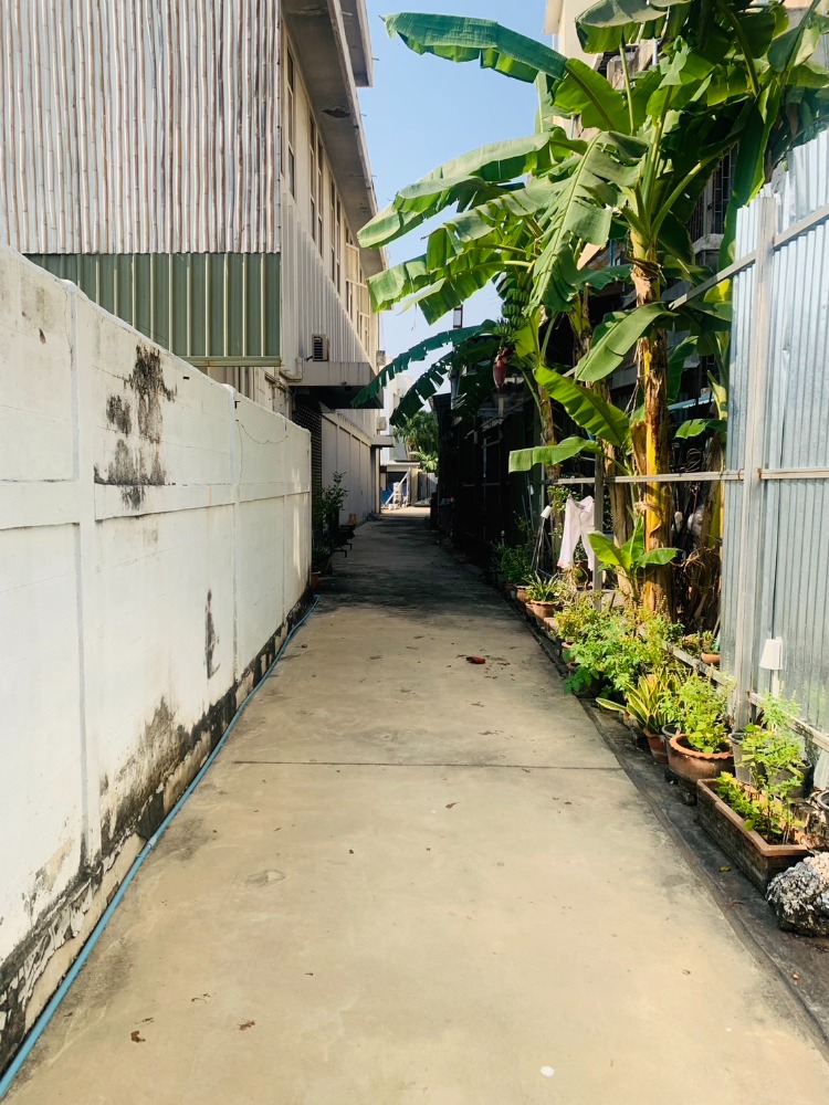 For SaleLandPinklao, Charansanitwong : Land in the city center on Charansanitwong 38 , cheap price