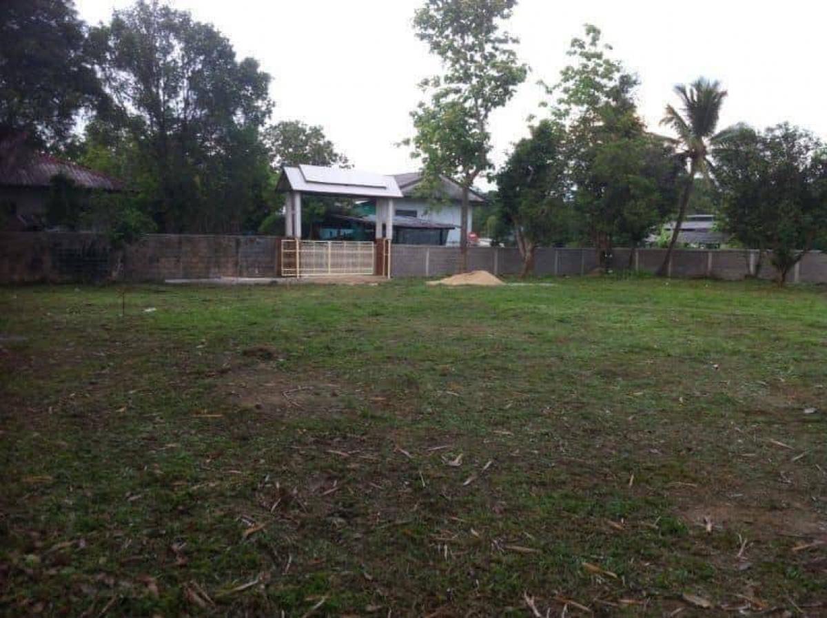 For SaleLandChiang Rai : Land for sale in Chiang Rai city center.