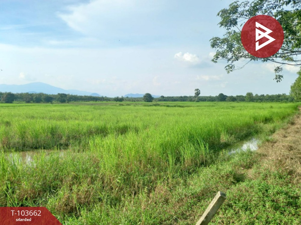 For SaleLandNakhon Si Thammarat : Land for sale, area 5 rai 2 ngan, Ron Phibun, Nakhon Si Thammarat