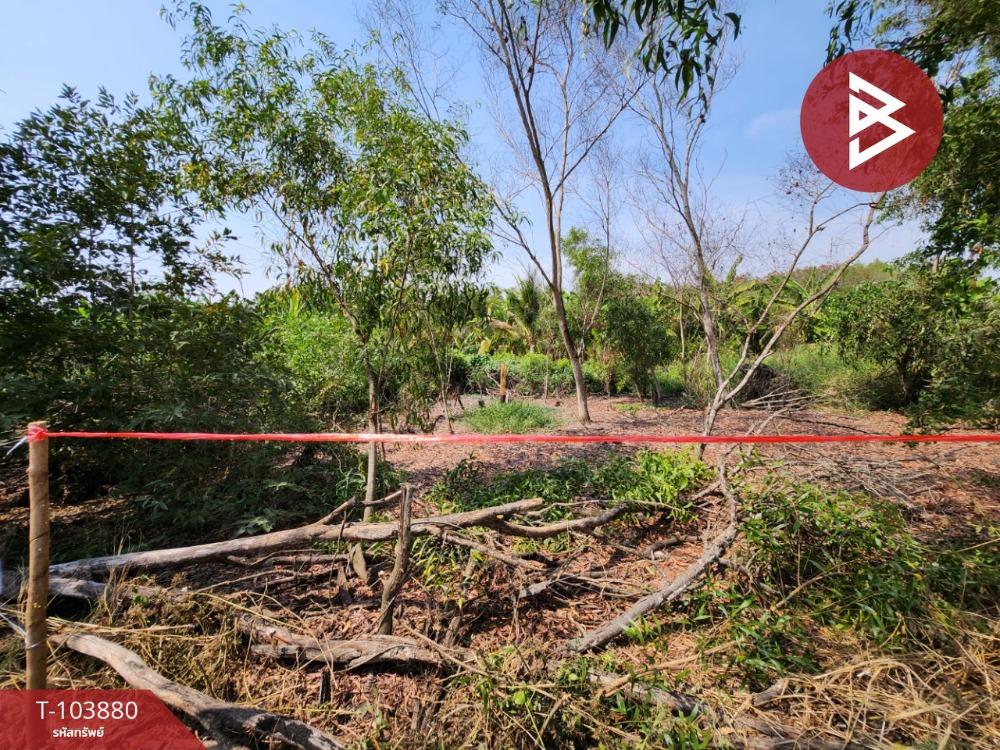 For SaleLandChachoengsao : Land for sale, 60 square wah, Soi Wat Udom Mongkhon, Tha Khai Subdistrict, Chachoengsao Province