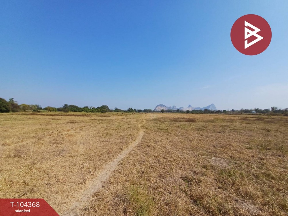 For SaleLandRatchaburi : Land for sale, area 10 rai 2 ngan 69 sq m, Pak Tho, Ratchaburi