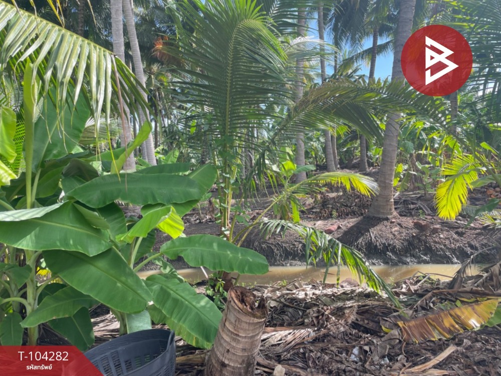For SaleLandSamut Songkhram : Urgent sale of vacant land, area 1 rai, Bang Khonthi, Samut Songkhram