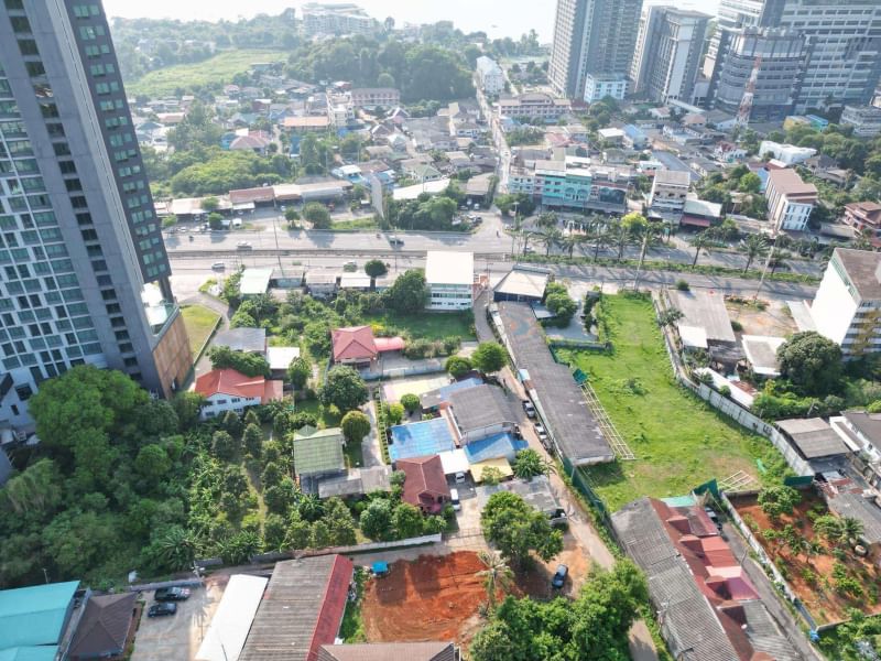 ขายที่ดินศรีราชา แหลมฉบัง บ้านบึง : ขายด่วน! ที่ดินเปล่าใกล้สุขุมวิท ศรีราชา ที่ดินสวยใกล้ทะเล ติดโรงแรม