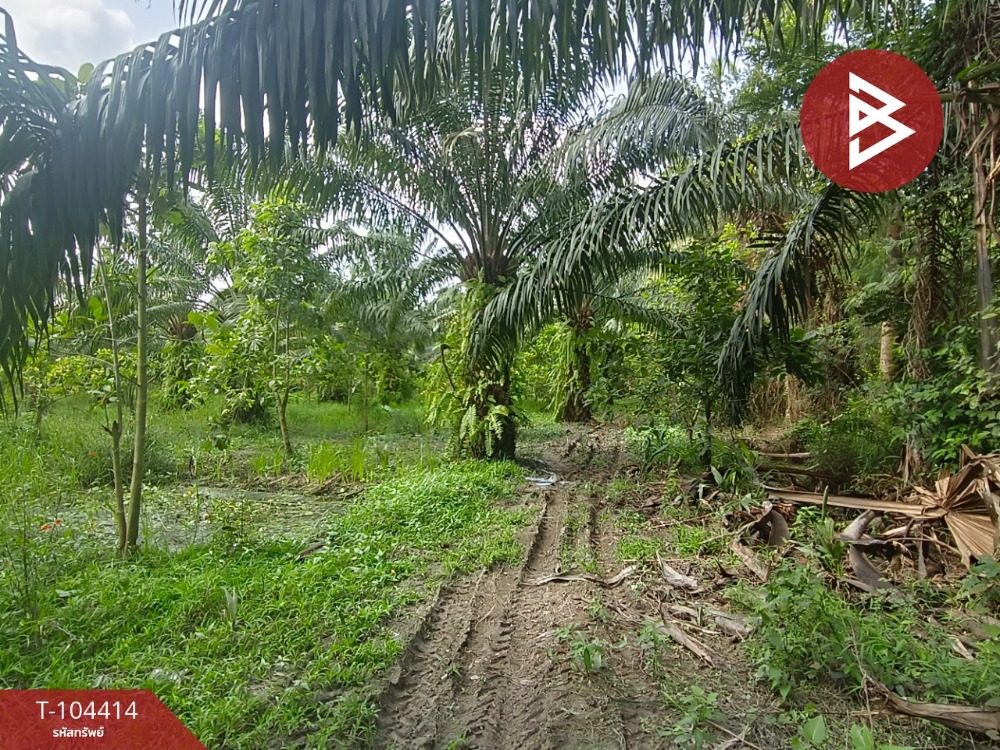 For SaleLandNakhon Si Thammarat : Land for sale, area 16 rai 1 ngan 36.8 sq.wa, Tha Sak, Nakhon Si Thammarat
