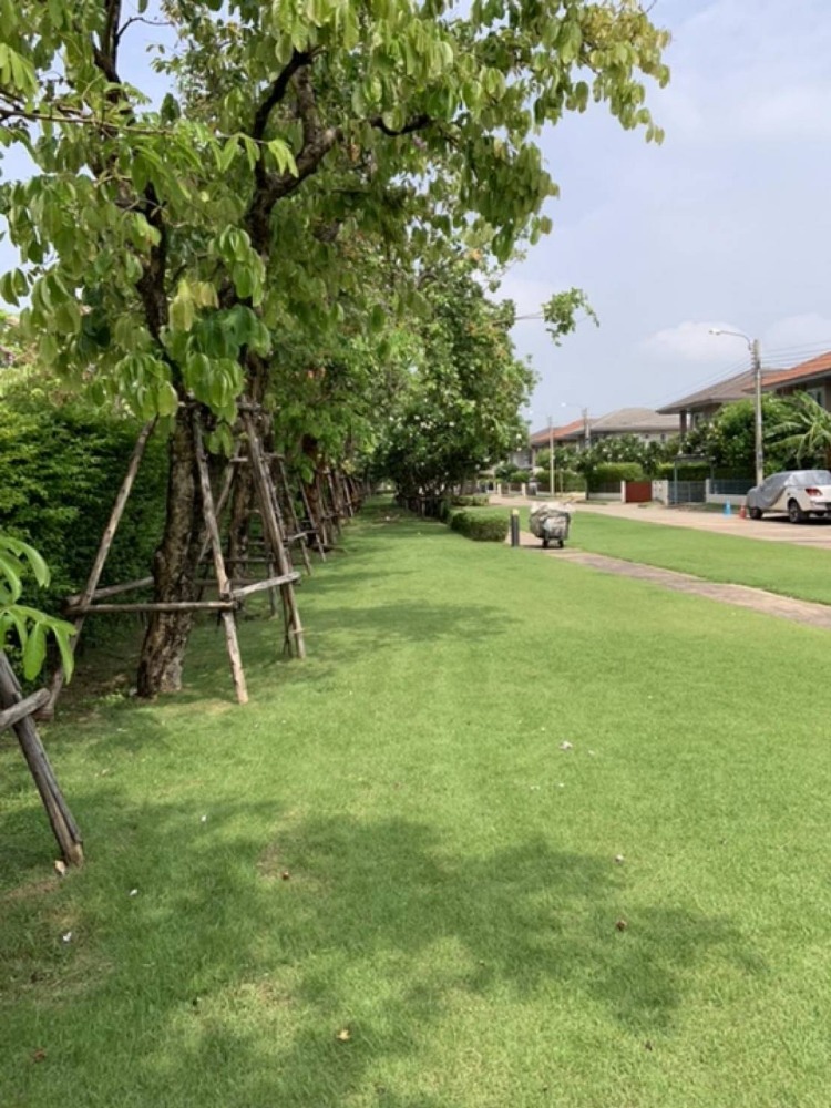 ให้เช่าบ้านบางนา แบริ่ง ลาซาล : ให้เช่าบ้านเดี่ยว คณาสิริ บางนา ใกล้ โรงเรียนนวมินทราชินูทิศ เตรียมอุดมศึกษาพัฒนาการ เพียง 7 นาที