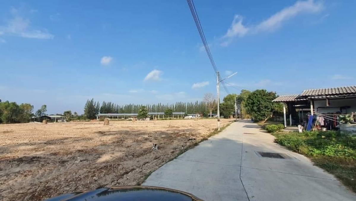 For SaleLandPattaya, Bangsaen, Chonburi : Land for sale, Pong Subdistrict, Bang Lamung District, Chonburi Province, 10 rai, near the sea