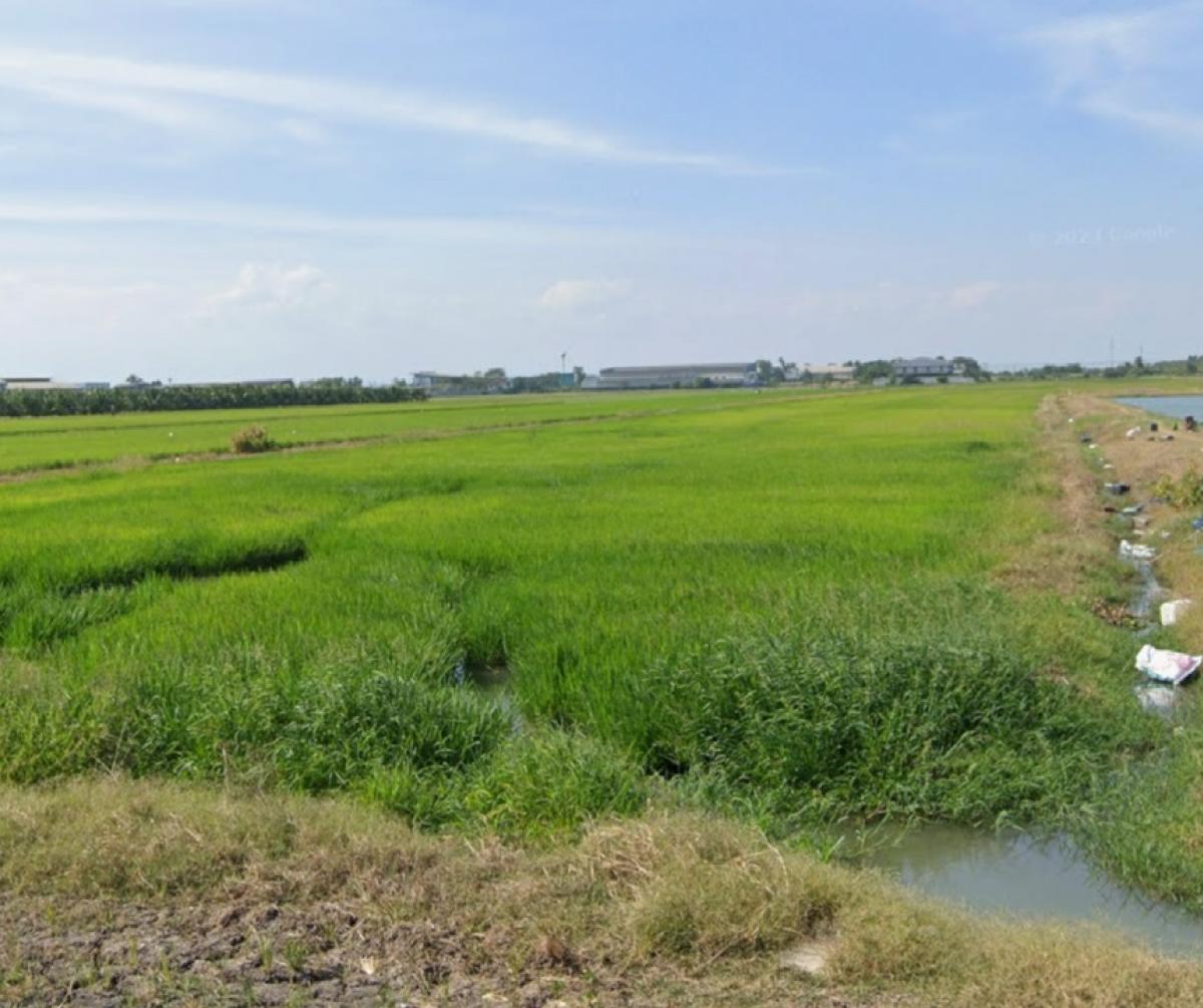 For SaleLandChachoengsao : For sale: 14 rai of purple land and 3 rai of green land, Pongpol Market Road, Khlong Prang, Chachoengsao. Very cheap.