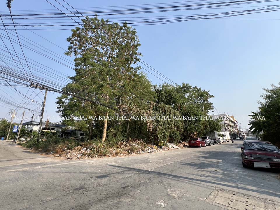 ขายที่ดินนนทบุรี บางใหญ่ บางบัวทอง : Land for sale in Soi Wat Pra Nguen, Taweechot 4 Village, 1 kilometer from Kanchanaphisek Road ขายที่ดินซอยวัดพระเงิน หมู่บ้านทวีโชติ 4 บางใหญ่ห่างจากถนนกาญจนาภิเษก 1 กิโลเมตร