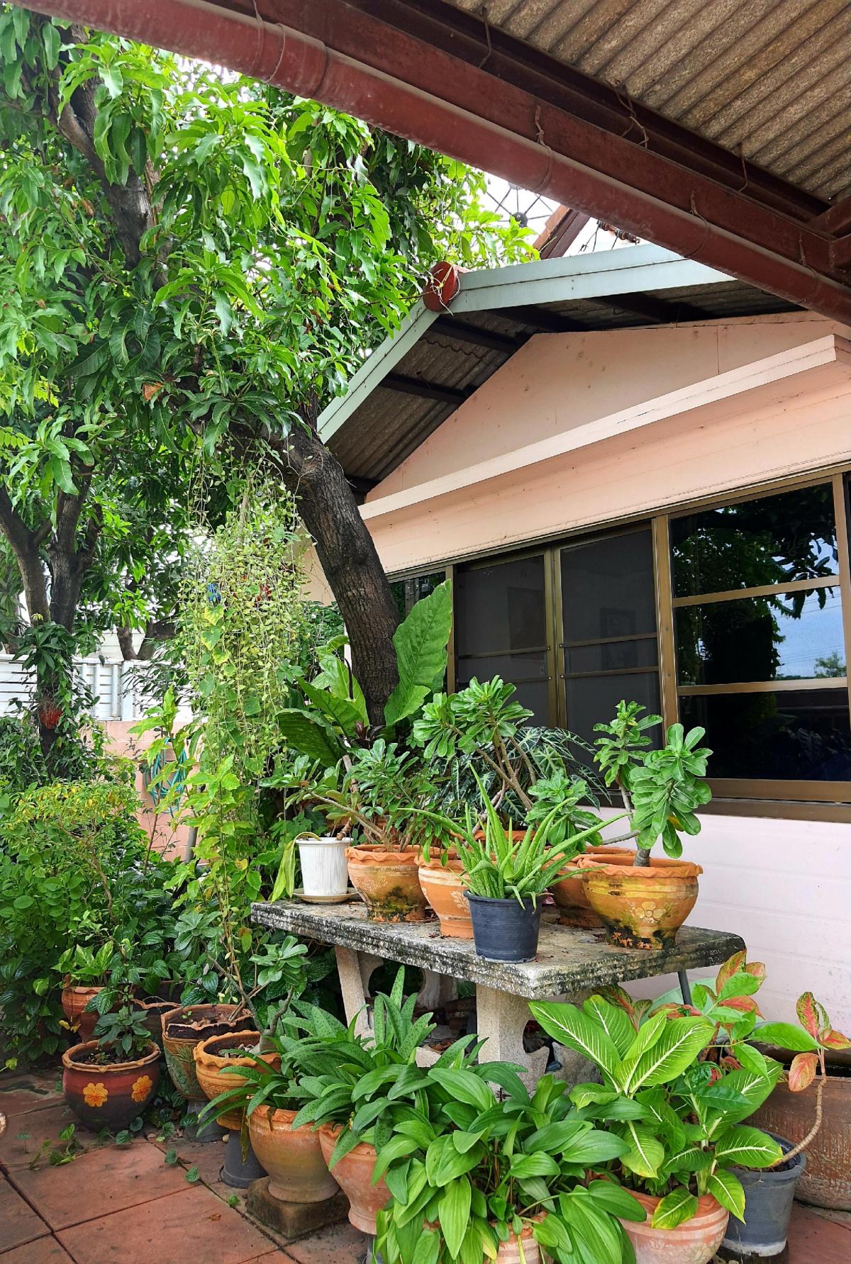 For SaleHouseSamut Prakan,Samrong : Single house for sale, area 51 square wah (owner selling)😊
