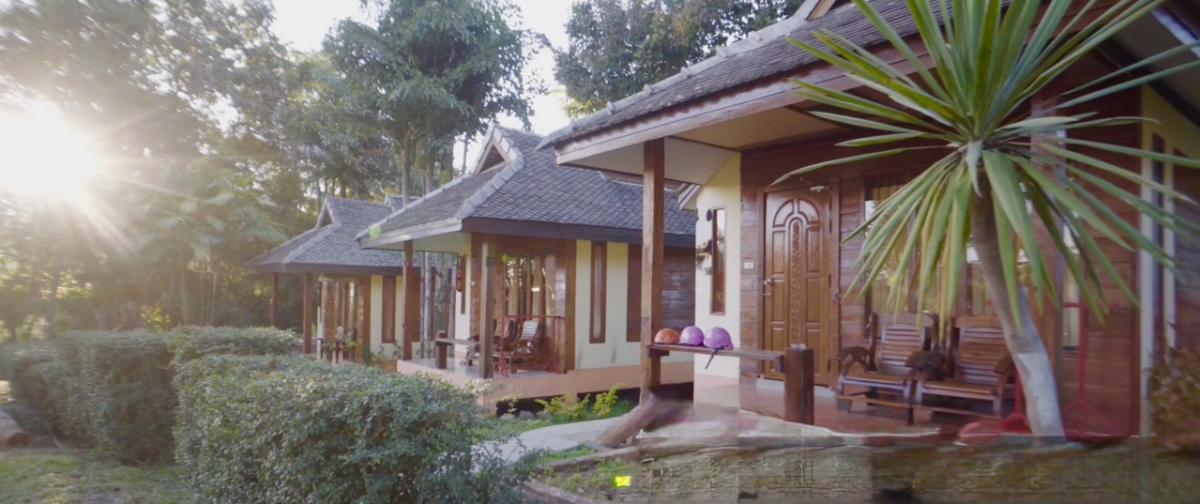ขายกิจการโรงแรม & กิจการอพาร์ตเมนต์แม่ฮ่องสอน : Sale hostel in Pai, Maehongson, near Pai walking street, get 100k per month