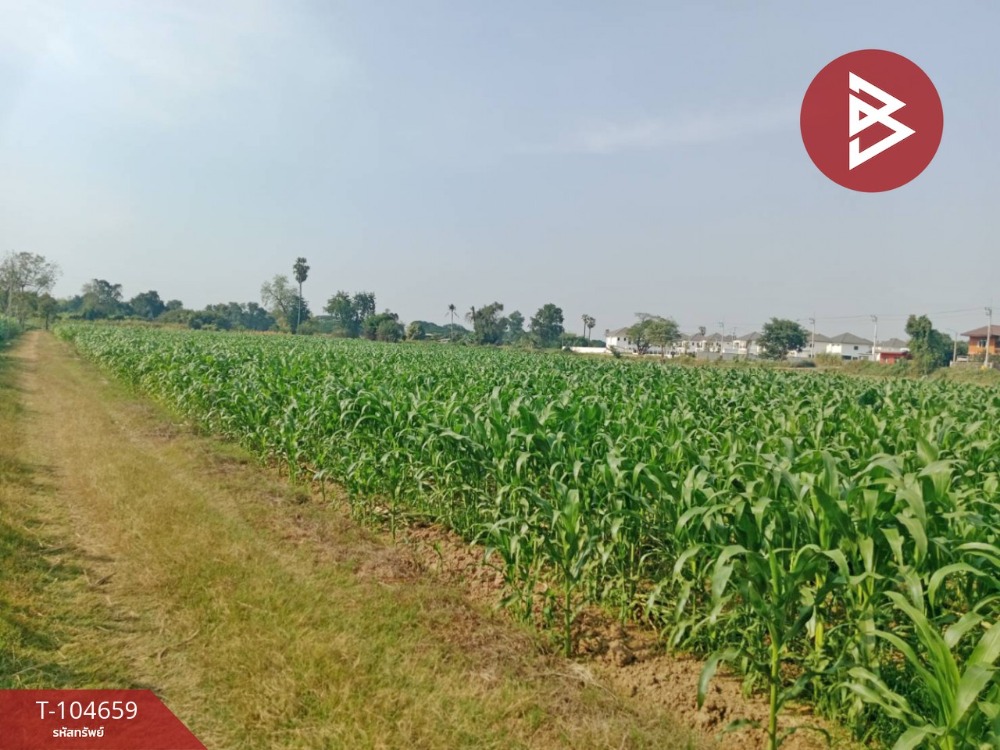 For SaleLandNakhon Sawan : Land for sale, area 1 rai, Takhian Luean, Nakhon Sawan