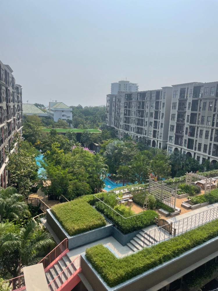 ให้เช่าคอนโดหัวหิน ประจวบคีรีขันธ์ : เช่า 1 ห้องนอน 1 ห้องน้ำ ลา ฮาบานา หัวหิน La Habana Hua Hin เช่า 12,000 บาท