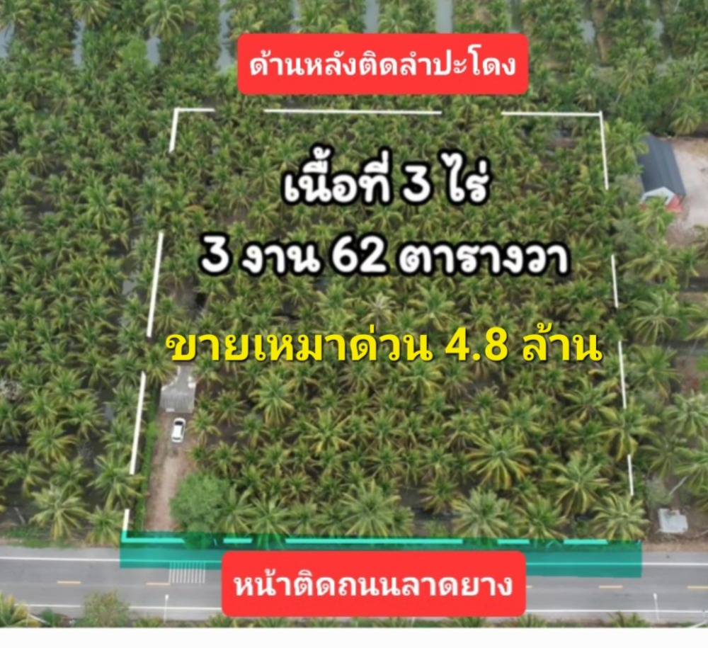 For SaleLandSamut Songkhram : ☀️Coconut plantation land for sale, 4.9 million, almost 4 rai☀️Front facing asphalt road☀️Back facing Lam Padong☀️Beautiful land☀️Owner selling☀️Free transfer